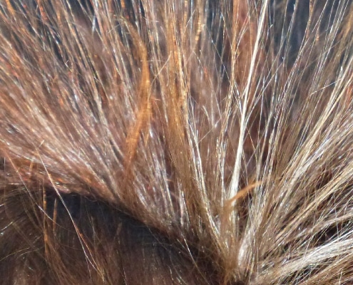 Elektrische Haare